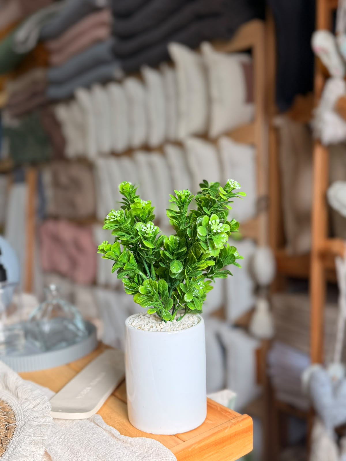 Plantas hojas verdes