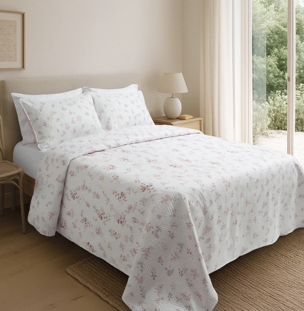 Cover Zenón Max  - Imagen 2