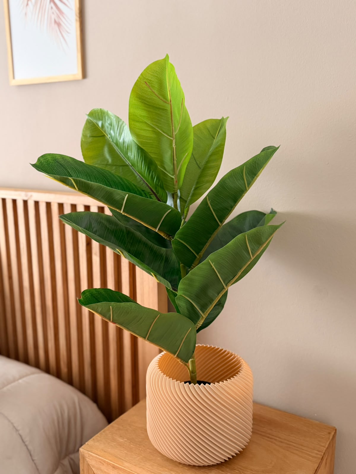 Plantas Grandes
