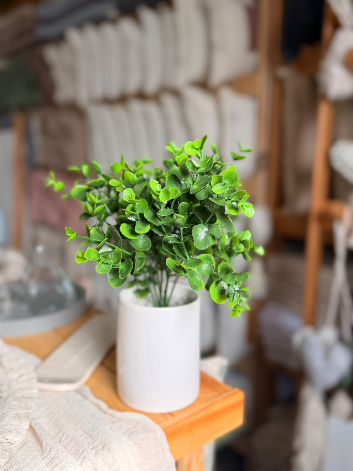 Plantas hojas verdes - Imagen 2
