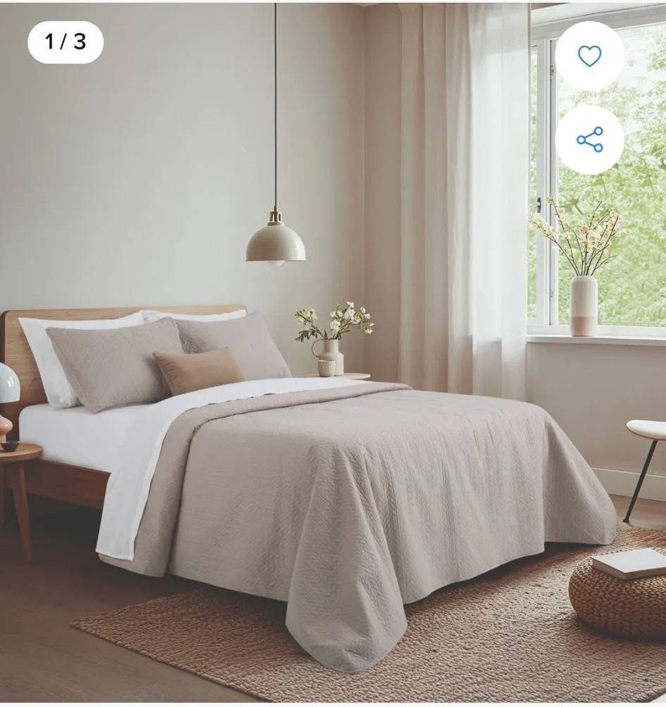 Cover Zenón con fundones  - Imagen 2